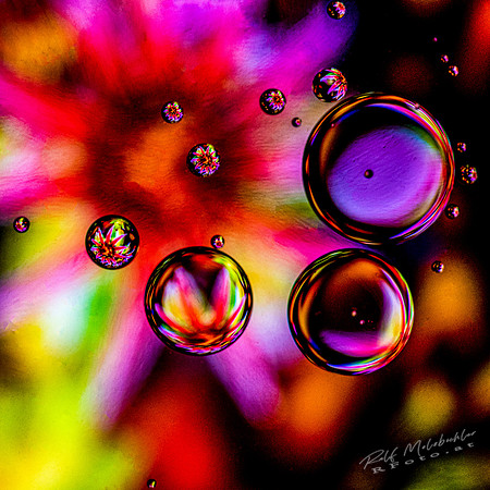 008-splash15122019-120-edit