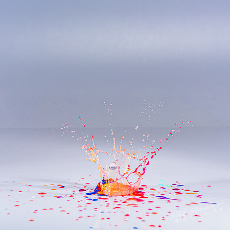 019 -2020-02-22-splash-047-edit