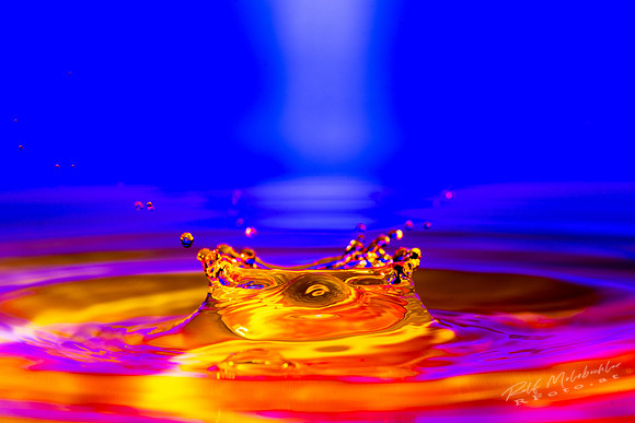 Tropfenfoto-_35--splash-958