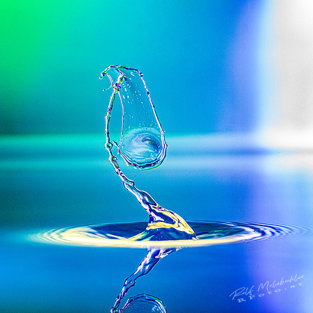 014 -2021-02-07 splash-312
