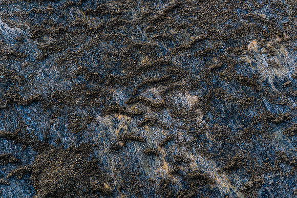Oberwalderh-_MRF0617