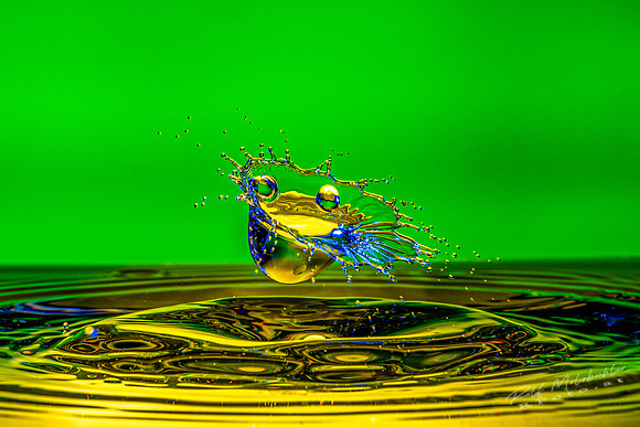Tropfenfoto-_26--01022020-splash-138