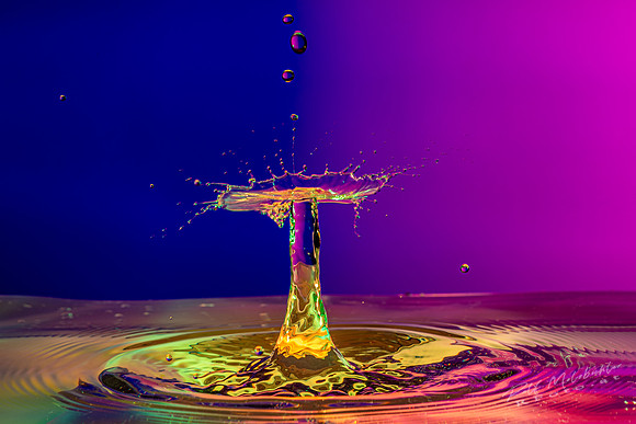 Tropfenfoto-_18--2020-11-14 splash-251