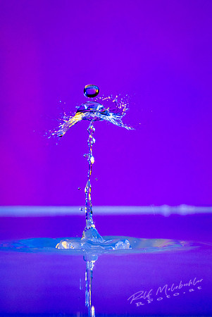 Tropfenfoto-_37--splash03012019 34