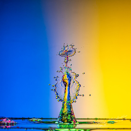 009-2020-03-22-splash-122-e