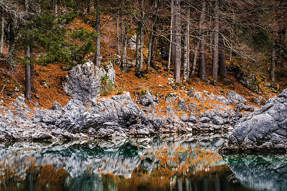 molzbichlerR_MRF5356