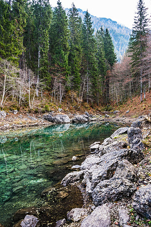 molzbichlerR_MRF5368