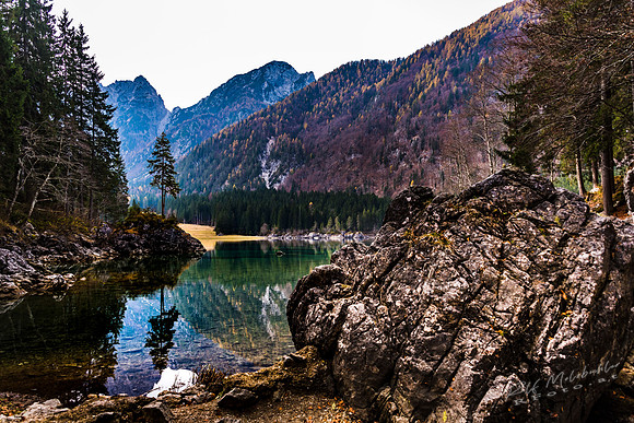 molzbichlerR_MRF5392