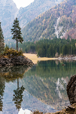 molzbichlerR_MRF5393