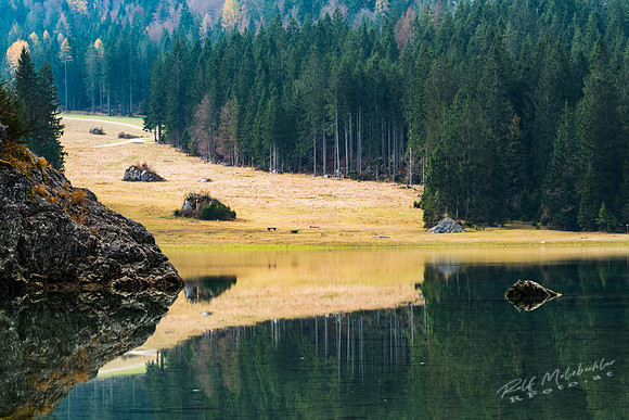 molzbichlerR_MRF5401