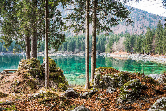 molzbichlerR_MRF5403