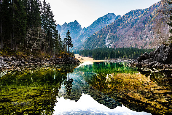 molzbichlerR_MRF5395