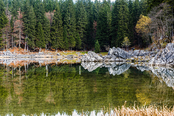 molzbichlerR_MRF5321