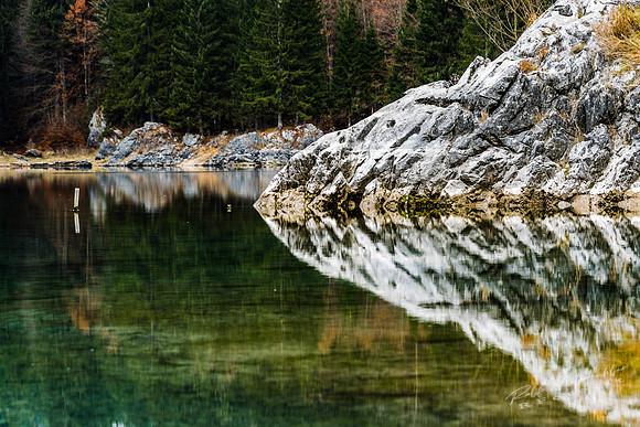 molzbichlerR_MRF5335