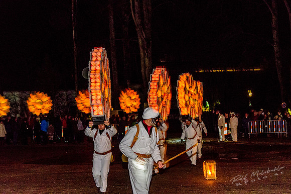Gloecklerlauf2018_MRF7668
