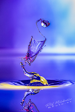 Tropfenfoto-_19--2021-02-07 splash-297