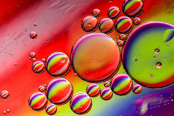 BubblesMRF_4626
