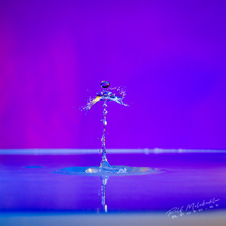 010-splash03012019 (34 von 1)