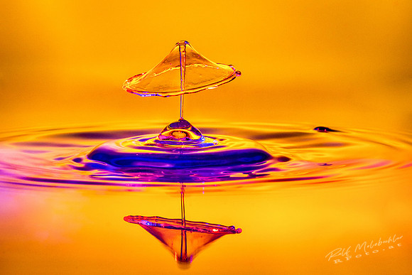 Splash-_MRF7647