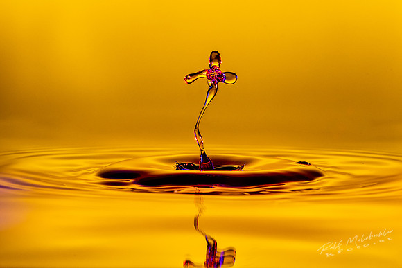 Splash-_MRF7809