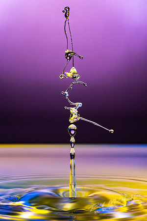 Splash-_MRF8028