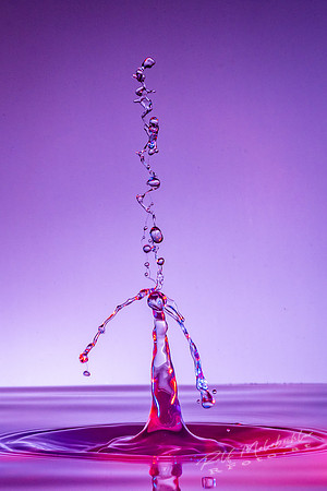 Splash-_MRF9242