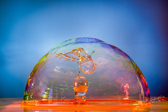 splash23022019-154