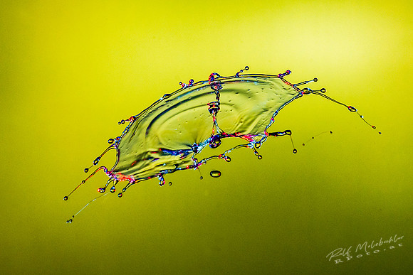 splash23022019-071