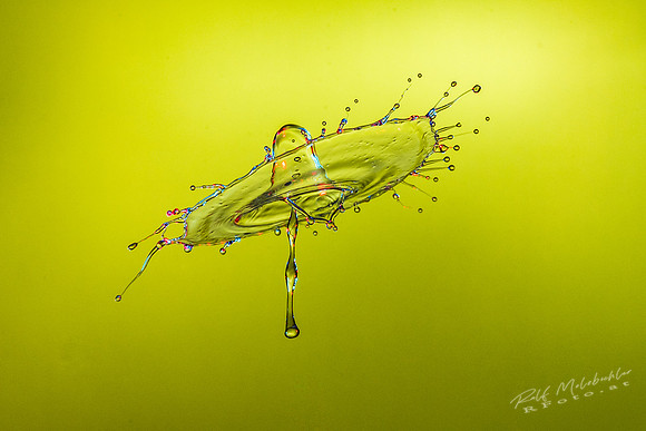splash23022019-065