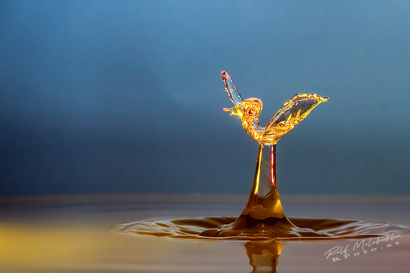 splash29032019-33