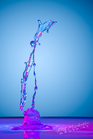 splash19042019-160