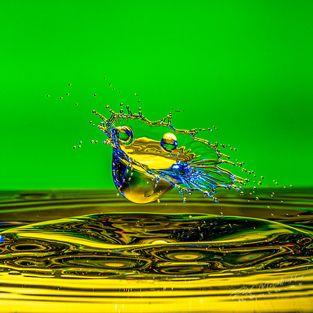 011-01022020-splash-138-edit