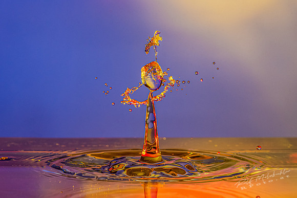 splasch24112019-384