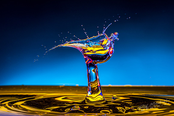 2020-08-30 splash-201-e-1