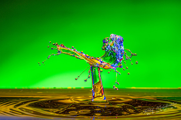 2020-08-30 splash-207-e-1