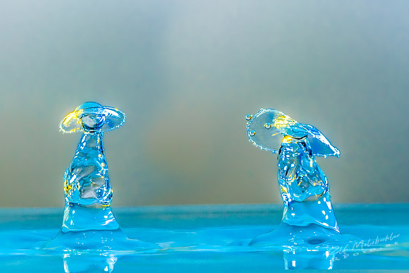 Tropfenfoto-_45--splash23022019-113