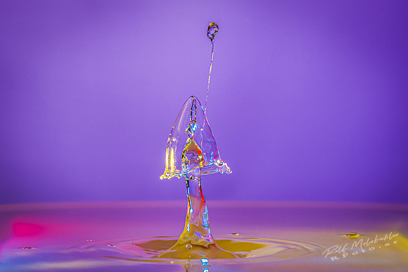 Tropfenfoto-_9--2020-06-14 splash-297