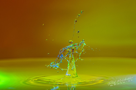 Tropfenfoto-_10--2020-07-18 splash-348