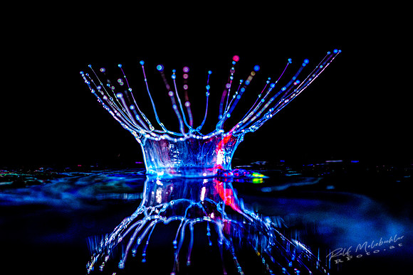 Tropfenfoto-_29--splasch01122019-142