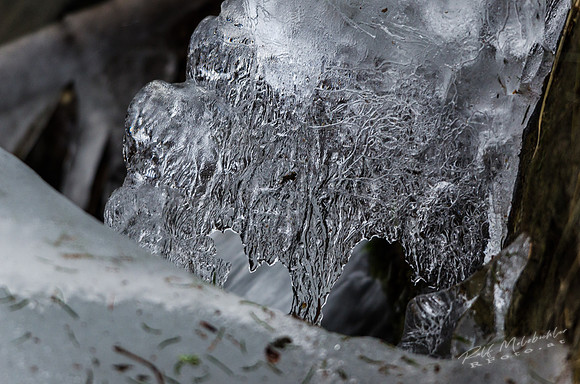Ice__MR43251