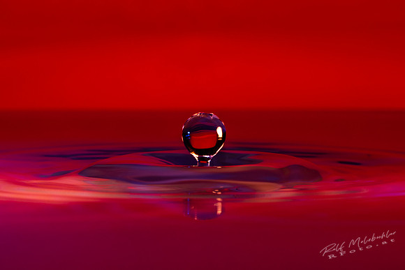 Tropfenfoto-_43--splash16122018 804